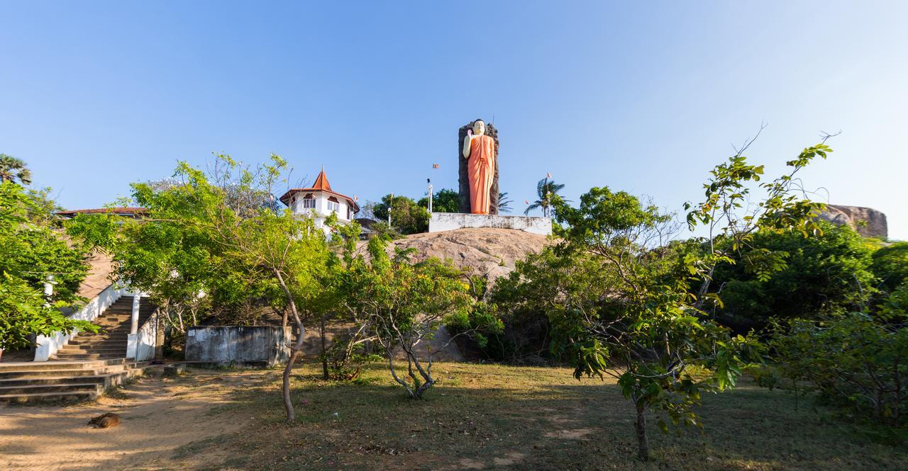 Forestville Yala Exterior foto